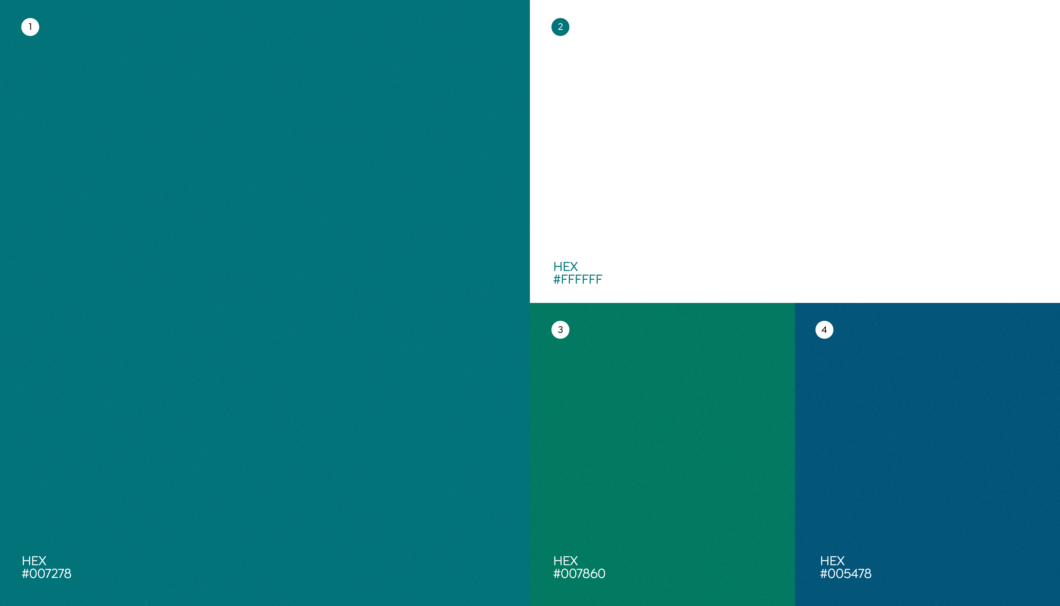 BFI Bank Rebranding