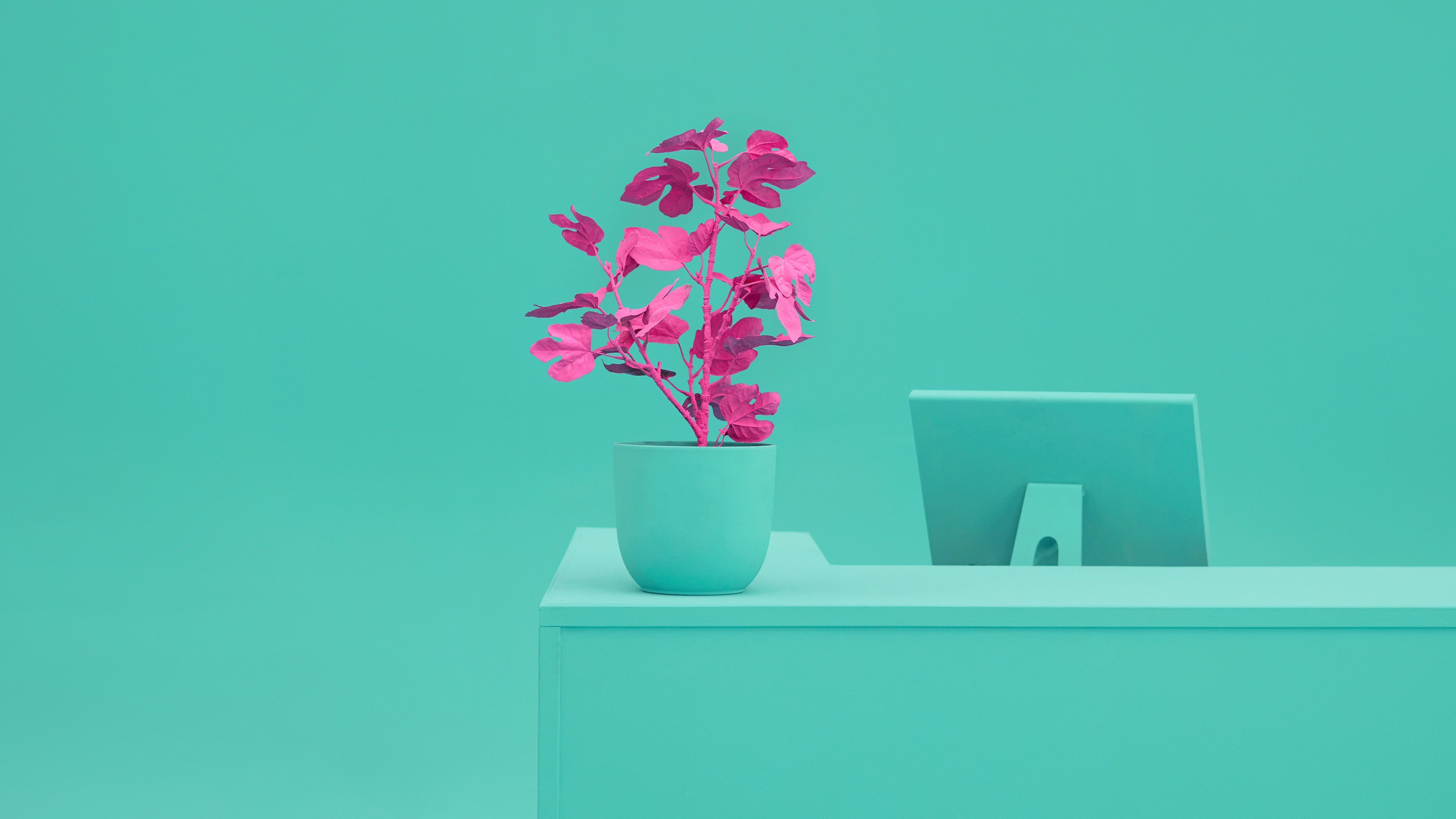A campaign that turns experience into conversation. Welkom bij Welkom.